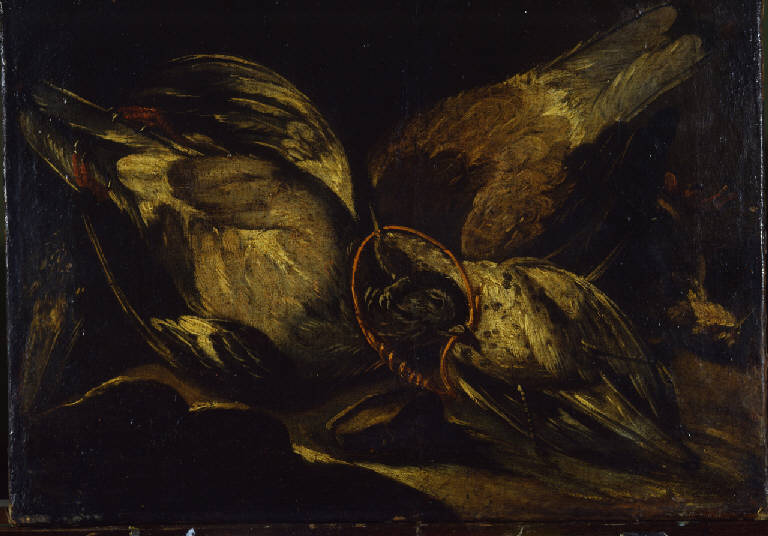 Natura morta, cacciagione (dipinto) - ambito italiano (secc. XVIII/ XIX)