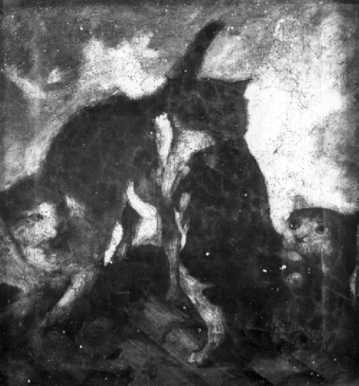 Zuffa di gatti (dipinto) di Angelo Inganni (attr.) - ambito (sec. XIX)