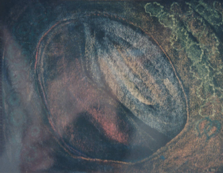 Pasturine/soia, PAESAGGIO RURALE (disegno) di Congdon Grosvenor, William - ambito statunitense Action Painting (seconda metà sec. XX)