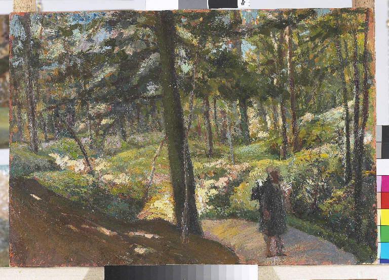 Nel bosco, Paesaggio montano (dipinto) di Pasinetti, Antonio - ambito lombardo (inizio sec. XX)