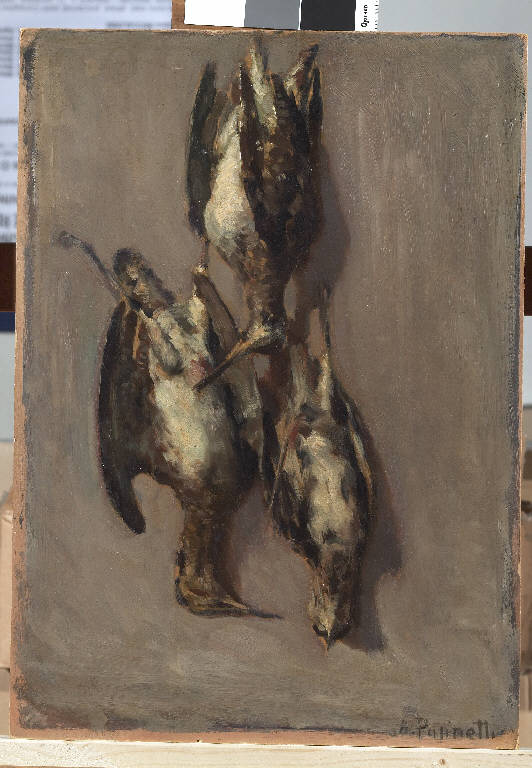 Beccacini, Animali (dipinto) di Pasinetti, Antonio - ambito lombardo (inizio sec. XX)