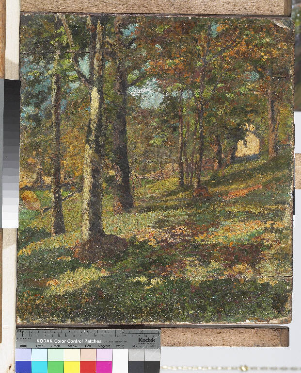Paesaggio montano (dipinto) di Pasinetti, Antonio - ambito lombardo (prima metà sec. XX)