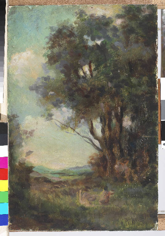 Studio di alberi, Paesaggio con alberi (dipinto) di Pasinetti, Antonio - ambito lombardo (secondo quarto sec. XX)
