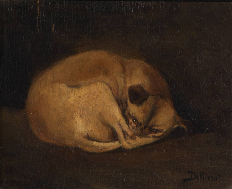 ritratto di cagnolino (dipinto) di Dellino (attribuito) (sec. XIX)