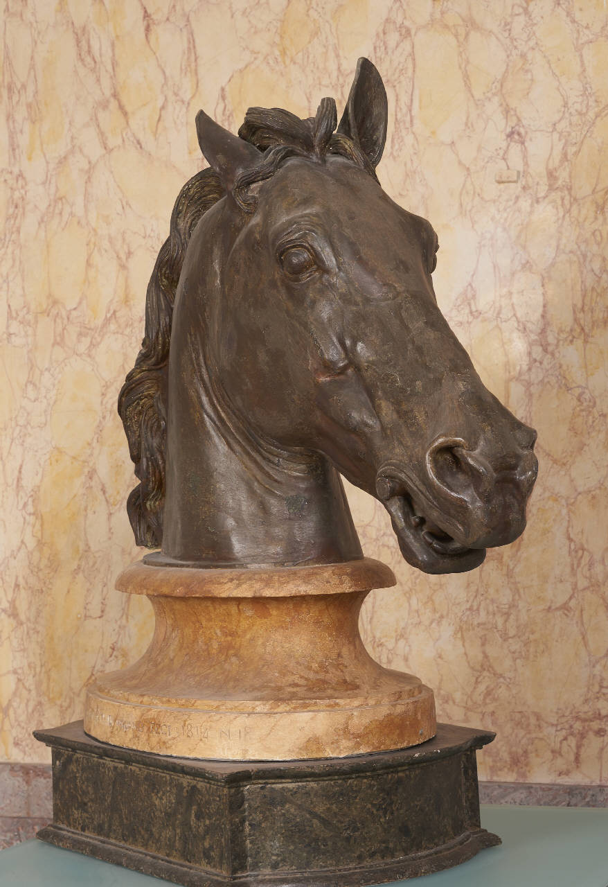 Testa di cavallo (busto) di Monti, Gaetano - ambito Italia centro-settentrionale (primo quarto sec. XIX)