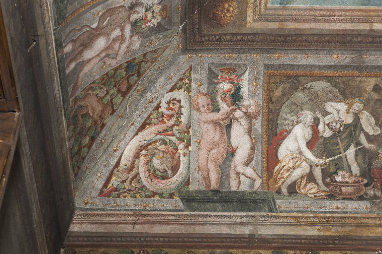 motivi decorativi vegetali, putti e cane (decorazione pittorica) di Manfredini, Giuseppe (sec. XVIII)