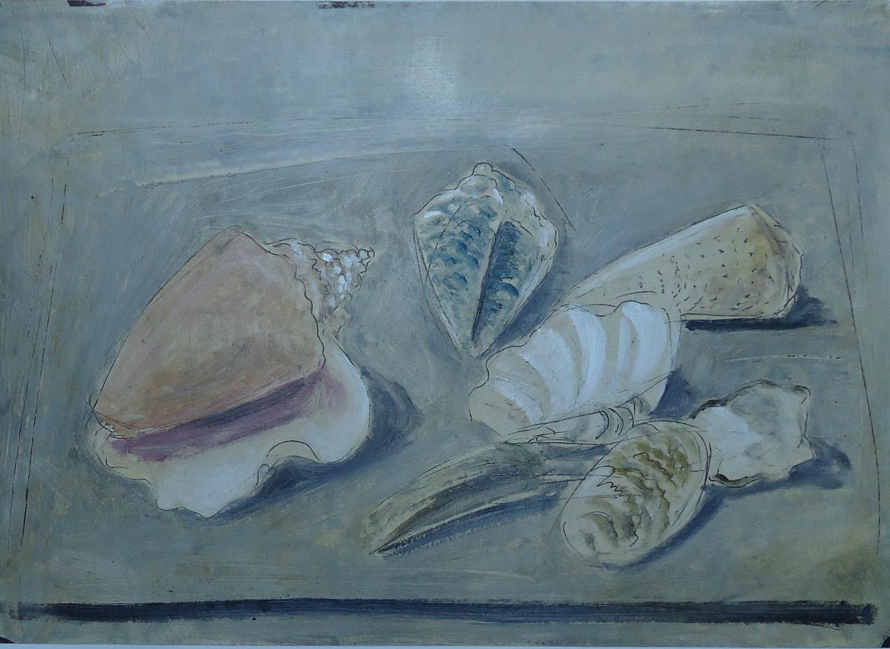 [Natura morta], Conchiglie (disegno) di Dolfi, Marco - ambito italiano (fine sec. XX)