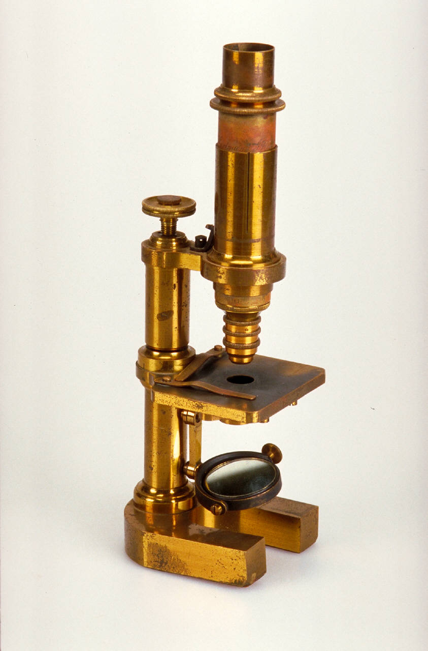 Microscopio composto di Hartnack E. & Prazmowsky A. (1880 ca.)