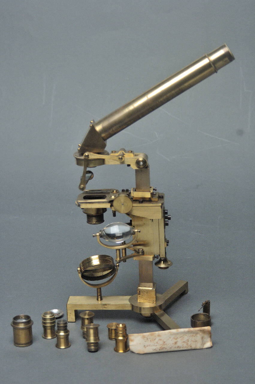 Microscopio a immersione di Amici di Amici Giovanni Battista (metà sec. XIX)