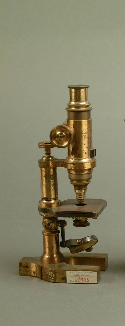 Microscopio composto di Hartnack E. & Prazmowsky A.||Carl Zeiss (seconda metà sec. XIX)