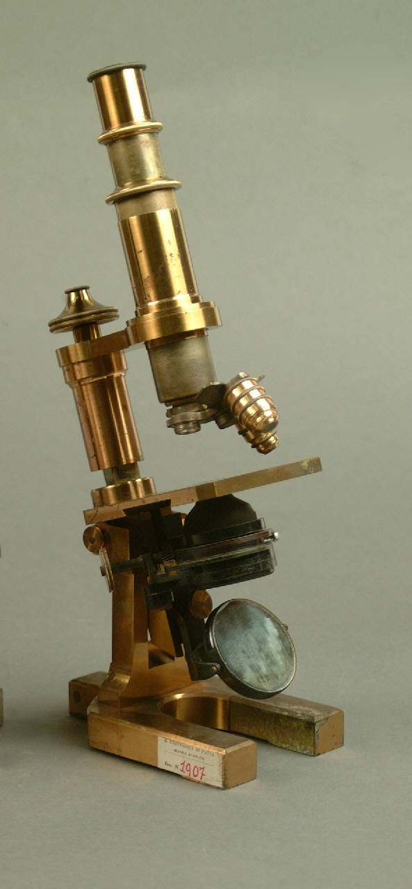 Microscopio composto Zeiss di Zeiss (seconda metà sec. XIX)