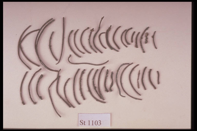 armilla - cultura di Golasecca (sec. VI a.C.)