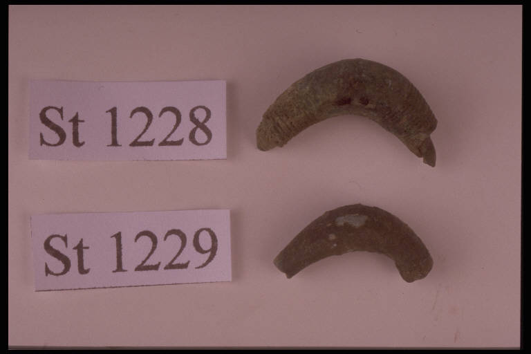 fibula ad arco pieno - cultura di Golasecca (sec. V a.C.)