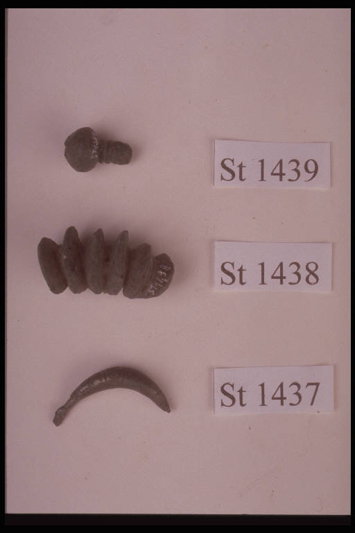 fibula a grandi coste - cultura di Golasecca (fine/inizio secc. VI/ V a.C.)