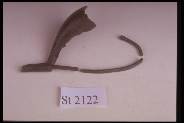 fibula a sanguisuga, DE MARINIS / tipo Mazzucca di Montanaso - cultura di Golasecca (sec. V a.C.)
