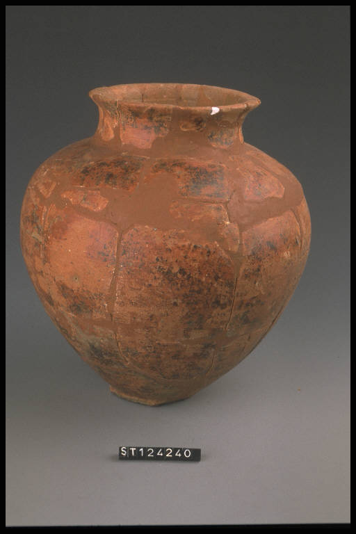 urna ovoide - cultura di Golasecca (fine/inizio secc. VI/ V a.C.)