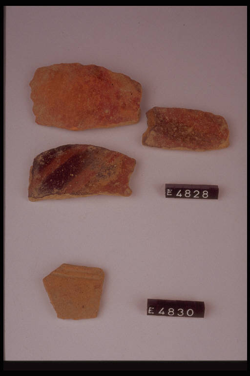 vaso - cultura di Golasecca (secc. VI/ V a.C.)