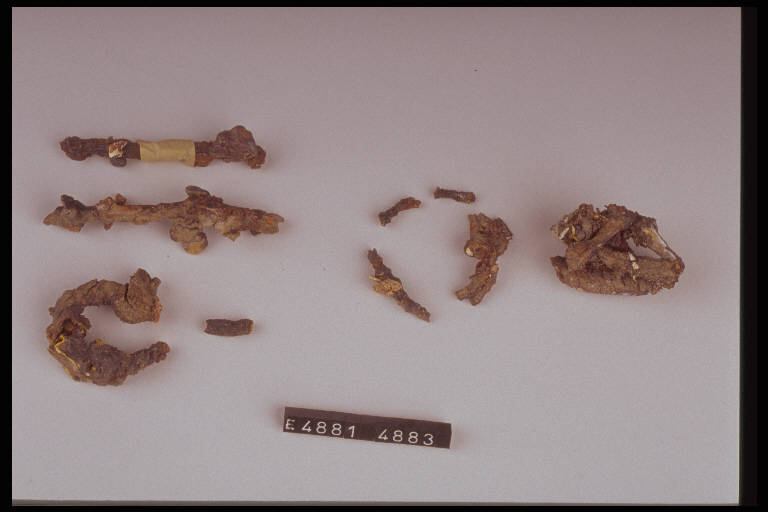 fibula ad arco serpeggiante - cultura di Golasecca (prima metà sec. VI a.C.)