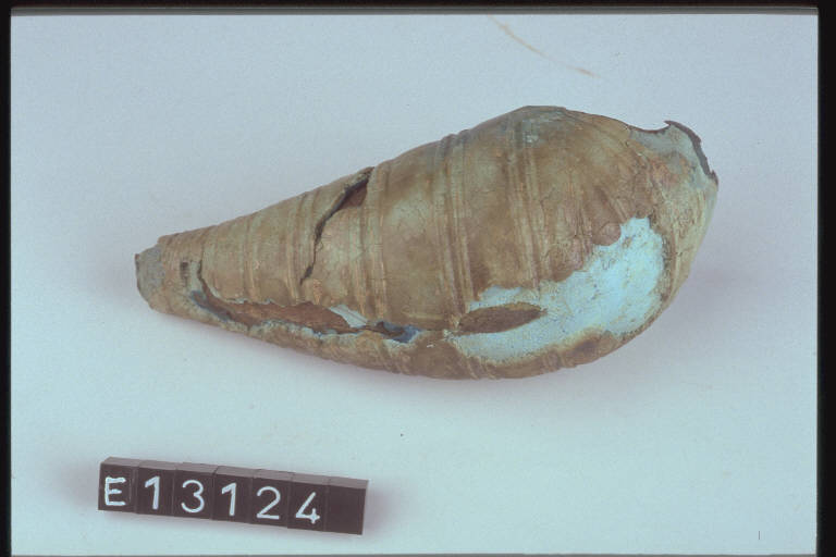 fibula a sanguisuga, DE MARINIS / tipo Lodigiano - cultura di Golasecca (fine/inizio secc. V/ IV a.C.)