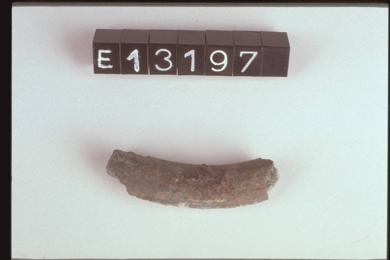 anello con gancio mobile - cultura di Golasecca (fine/inizio secc. V/ IV a.C.)