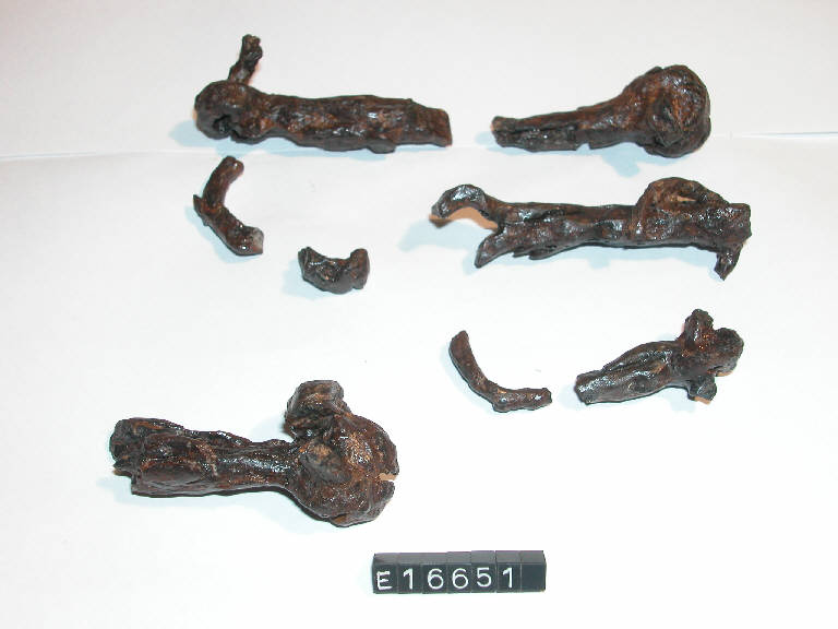 morso di cavallo - cultura di Golasecca (fine/inizio secc. VI/ V a.C.)