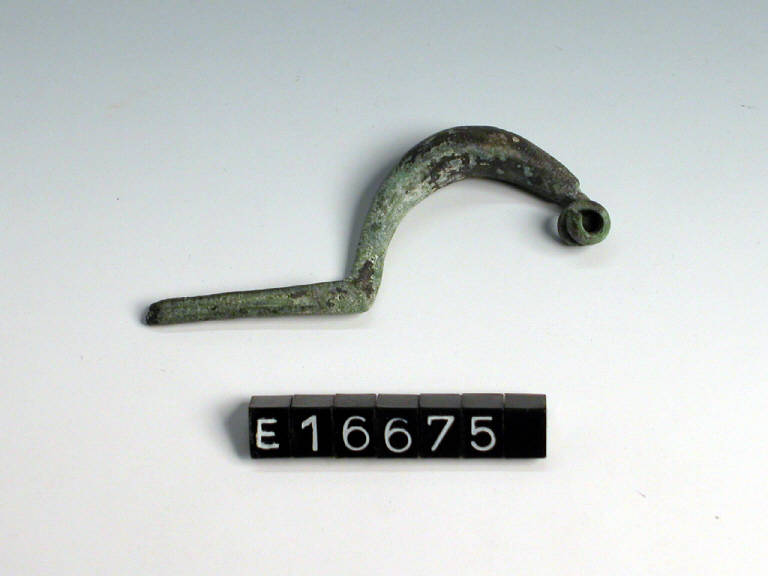 fibula a sanguisuga - cultura di Golasecca (fine/inizio secc. VI/ V a.C.)