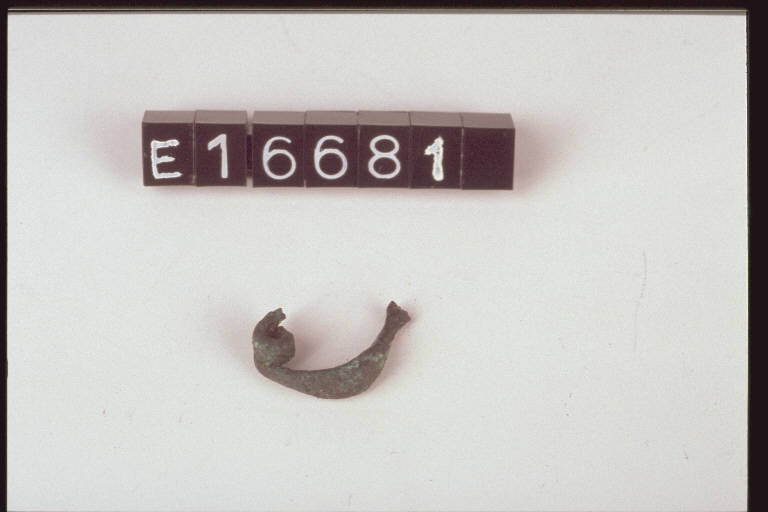 fibula a sanguisuga - cultura di Golasecca (secc. VI/ V a.C.)