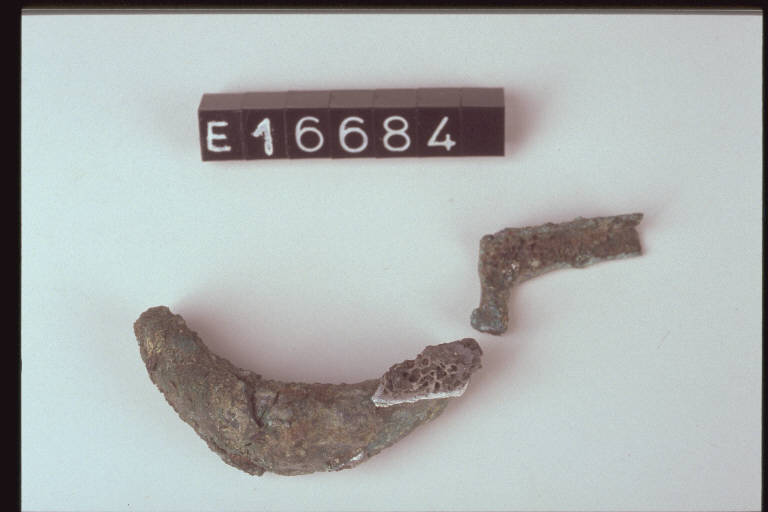 fibula a sanguisuga - cultura di Golasecca (fine/inizio secc. VI/ V a.C.)