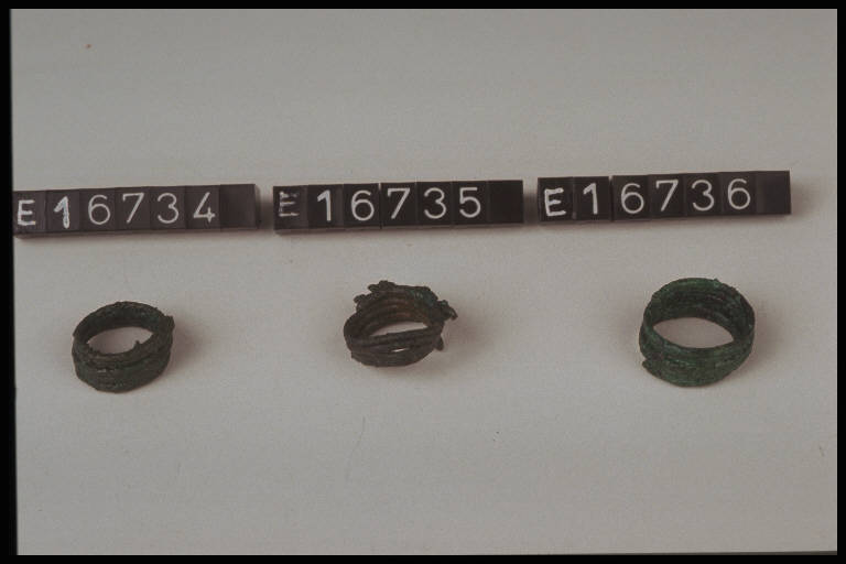 anello a spirale - cultura di Golasecca (secc. VIII/ V a.C.)