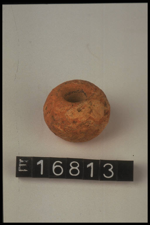 fuseruola - cultura di Golasecca (secc. VIII/ V a.C.)