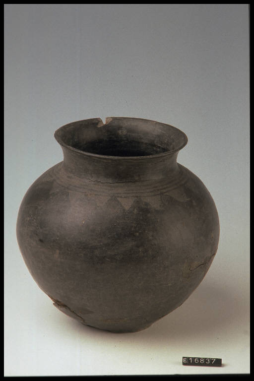 urna ovoide - cultura di Golasecca (terzo quarto sec. VI a.C.)