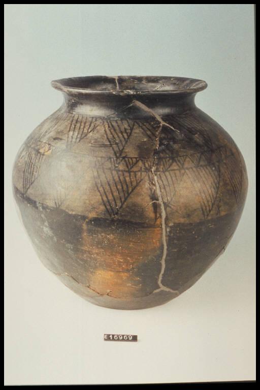 urna ovoide - cultura di Golasecca (prima metà sec. VI a.C.)