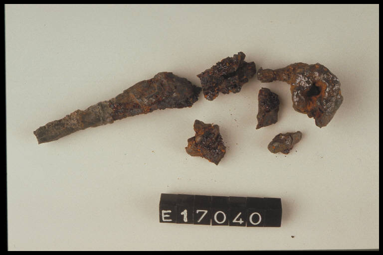 fibula tipo certosa, TERZAN / tipo Certosa - cultura di Golasecca (seconda metà sec. V a.C.)