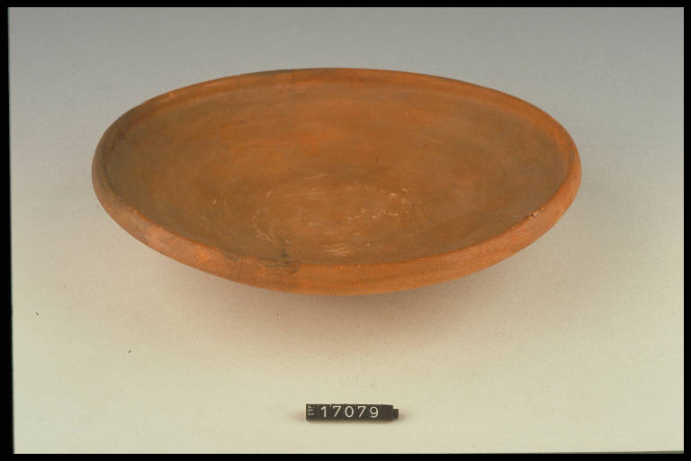 patera, LAMBOGLIA / tipo 5 v.n. - cultura La Tène (sec. I a.C.)