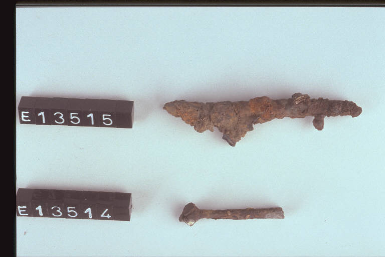 fibula (elementi di) - cultura di Golasecca (fine/inizio secc. VI/ V a.C.)