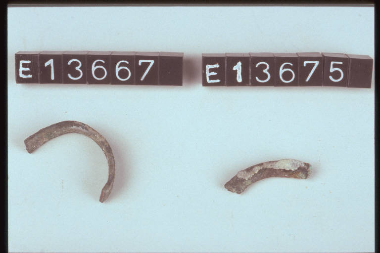 anellino - cultura di Golasecca (secc. VIII/ V a.C.)