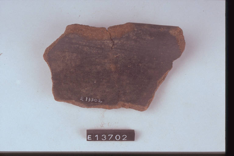 scodella (frammento di) - cultura di Golasecca (secc. VIII/ V a.C.)