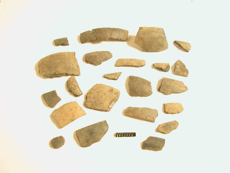 ciotole (frammenti di) - cultura di Golasecca (secc. VIII/ V a.C.)