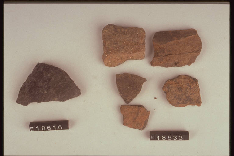 scodella (frammento di) - cultura di Golasecca (secc. VII/ V a.C.)