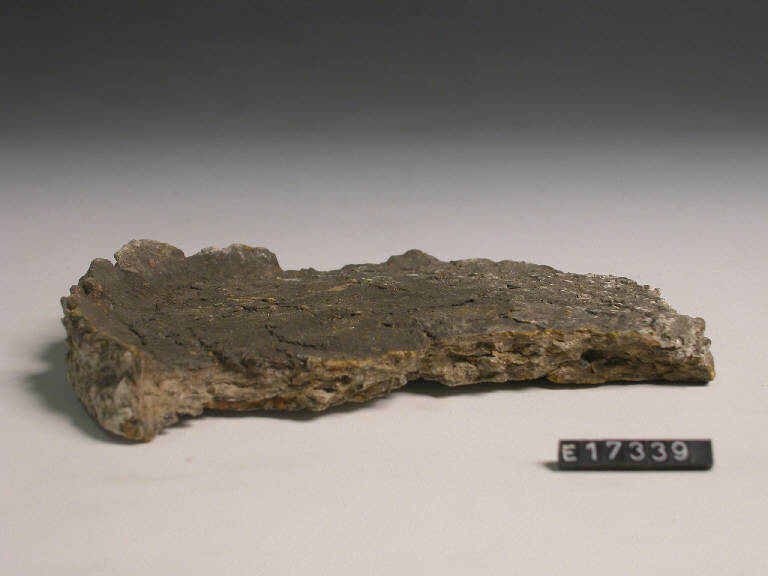 vaso (frammento di) - periodo Neolitico (secc. LX/ XVI a.C.)