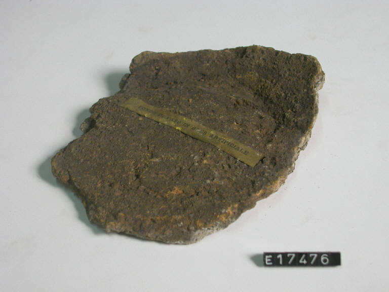 vaso (frammento di) - periodo Neolitico (secc. LX/ XVI a.C.)