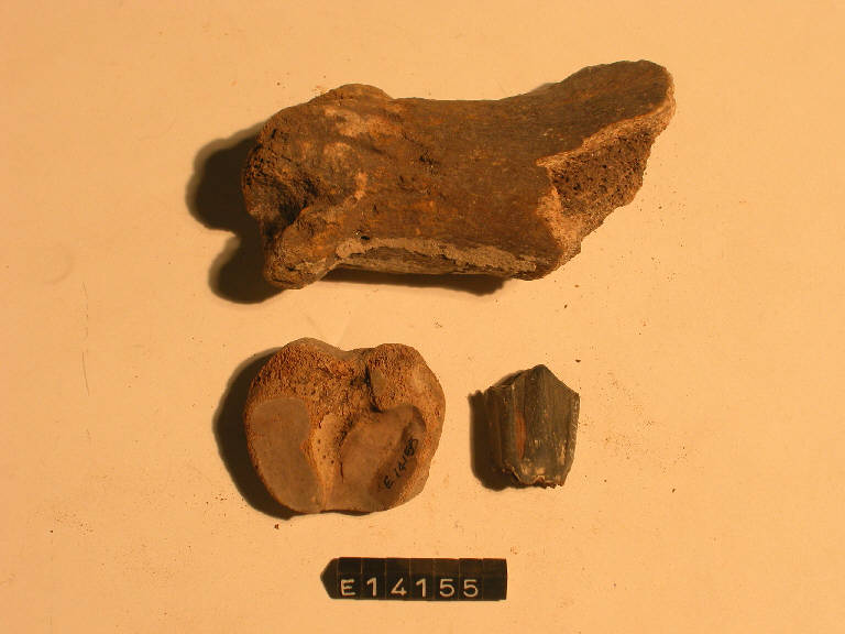 ossi - periodo di età del Ferro (secc. X/ I a.C.)
