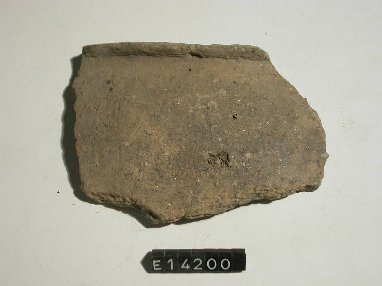 olla - cultura di Golasecca (secc. V/ IV a.C.)