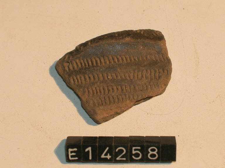vaso - cultura di Golasecca (secc. X/ VIII a.C.)