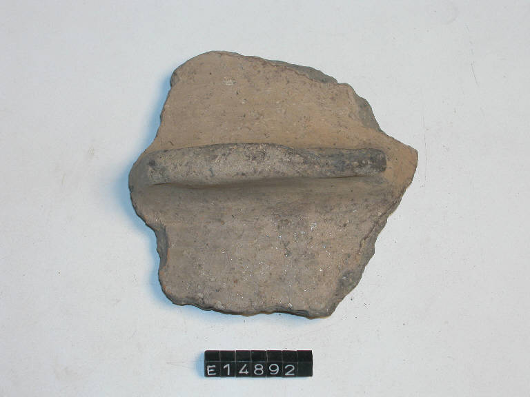 presa - cultura di Golasecca (secc. V/ IV a.C.)