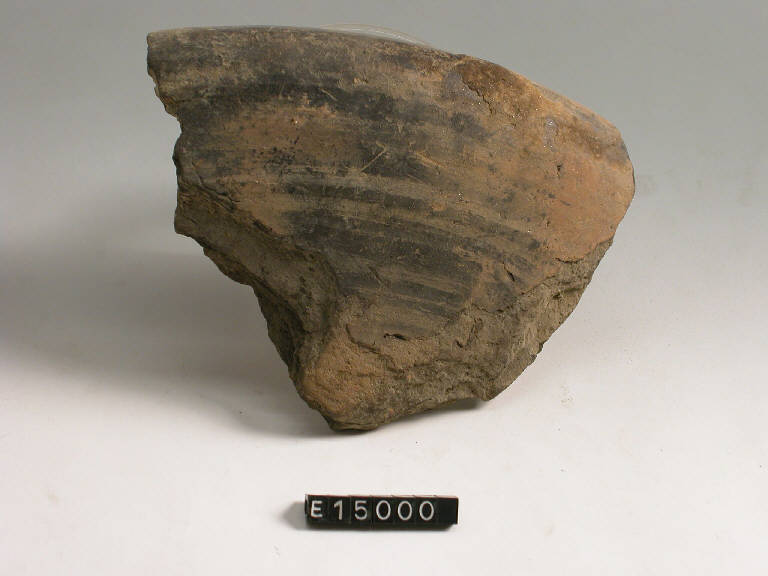 ciotola - cultura di Golasecca (secc. VI/ V a.C.)
