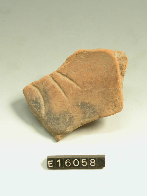 recipiente (frammento di) - cultura di Golasecca (secc. V/ IV a.C.)