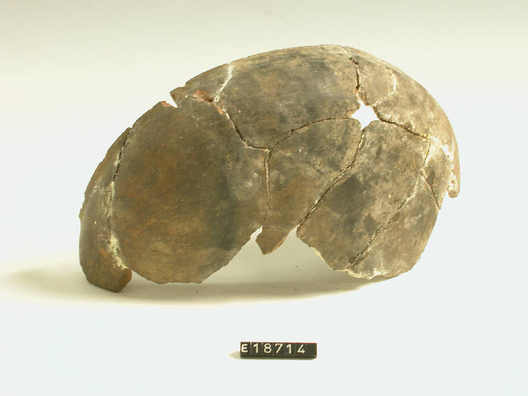 coppa troncoconica - cultura di Golasecca (secc. VI/ V a.C.)