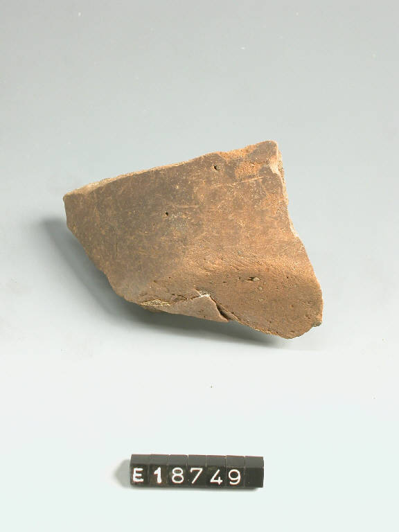 fondo - cultura di Golasecca (secc. VI/ IV a.C.)