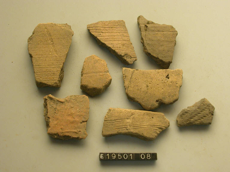 urna (frammento di) - cultura di Golasecca (secc. X/ VIII a.C.)